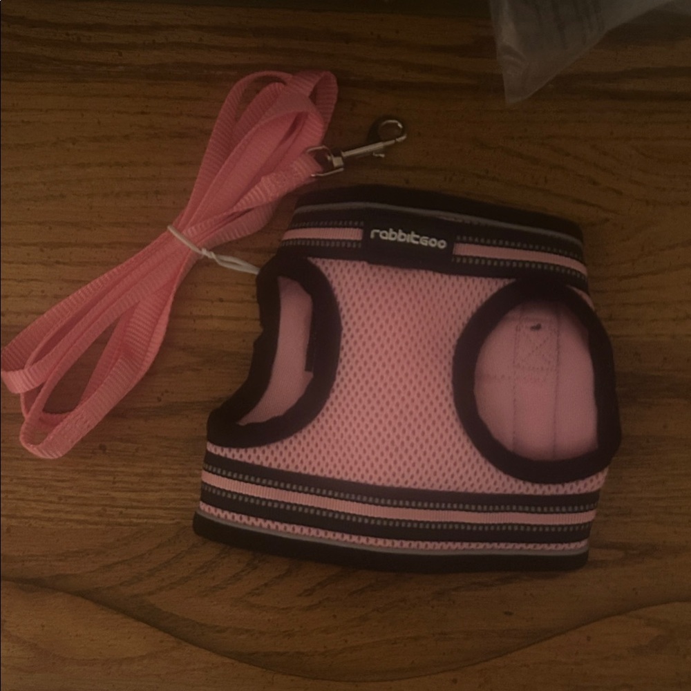Pink Cat Harness and Leash Set